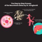 Tod durch Nervengifte: Vorbeugung & Detox